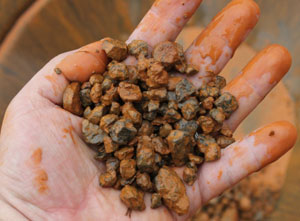 ɰ�a�V�x�V���a(ch��n)��